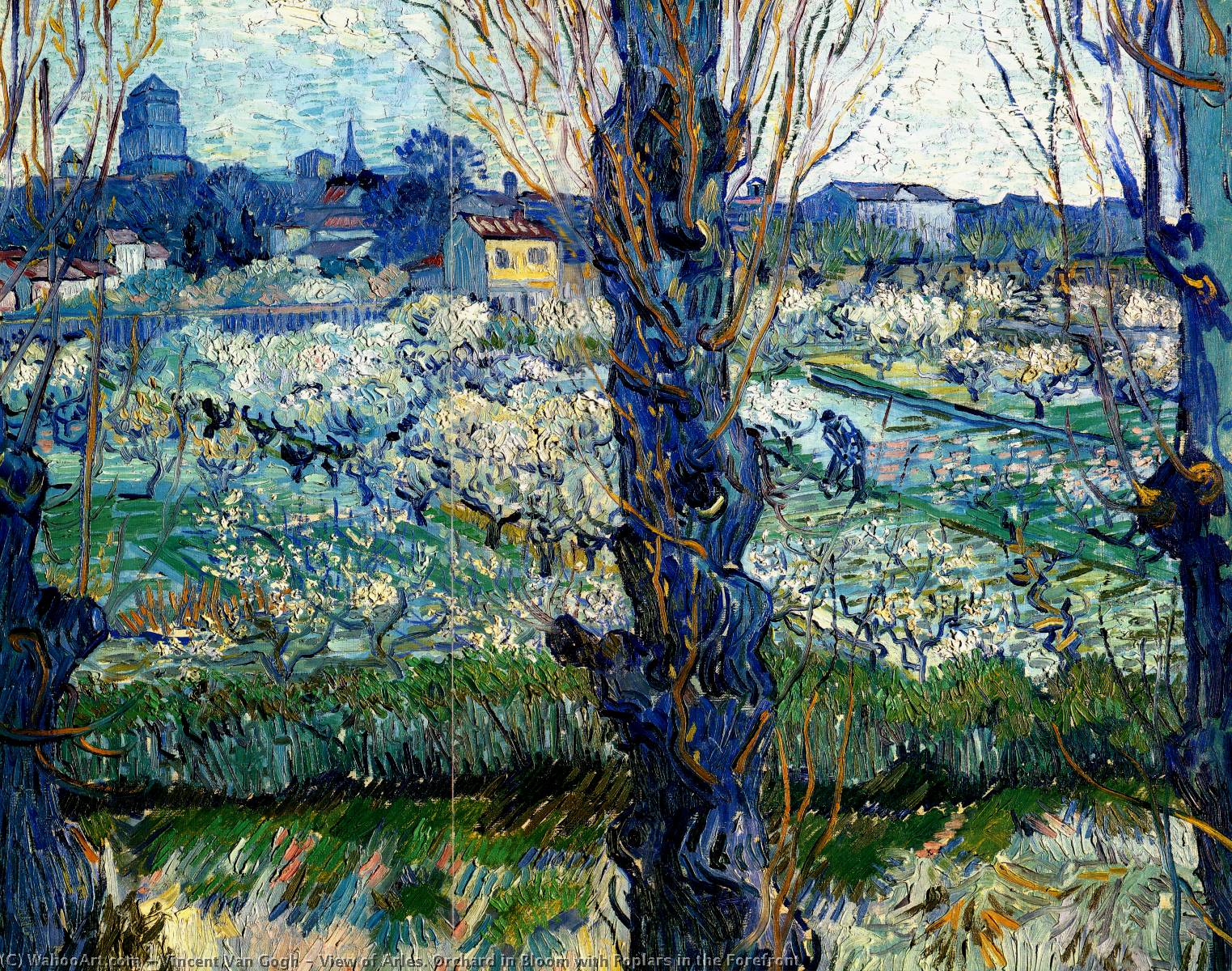 与杨树在第一线通过vincentvangogh18531890netherlandswahooartcom