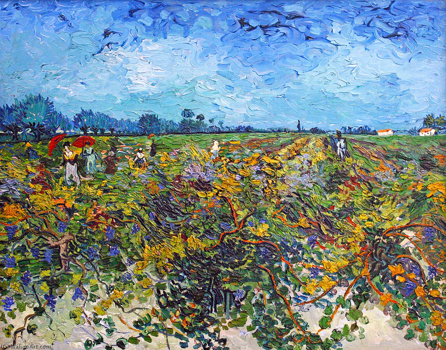 绿色葡萄园, 油画 通过 vincent van gogh (1853-1890, netherlands)