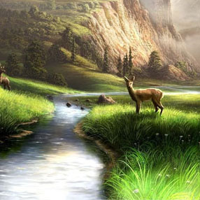 nature